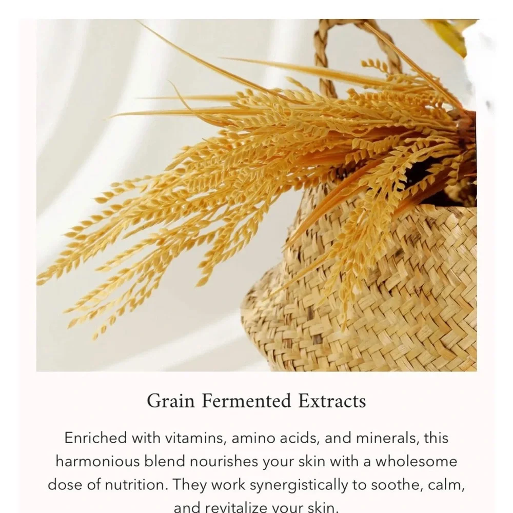 Beauty of Joseon Relief Sun Protecting Rice + Probiotic - Picture 4 of 7